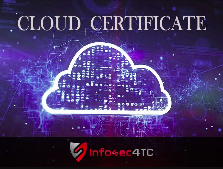 Enhanced Cybersecurity and Fraud Detection with AI